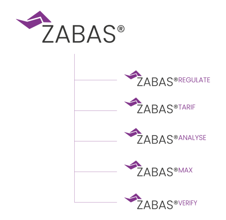 ZABAS_Overview 